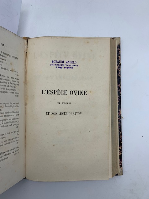 L'espece ovine de l'Ouest et son amelioration