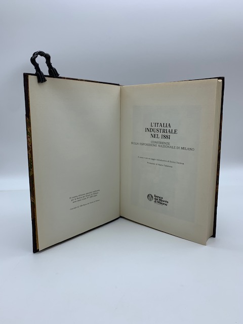 L'Italia industriale nel 1881. Conferenze sulla Esposizione Nazionale di Milano