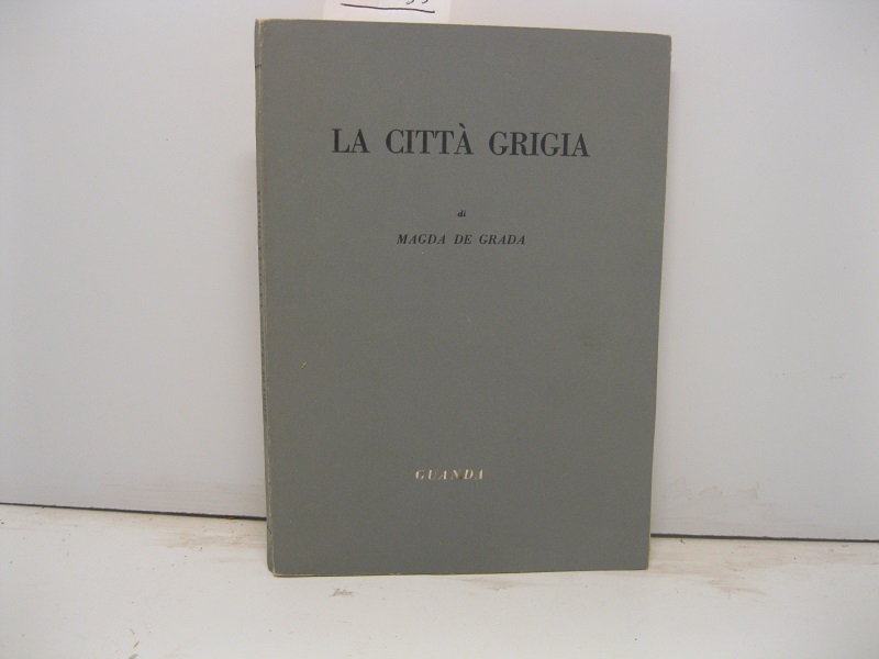 La citta' grigia