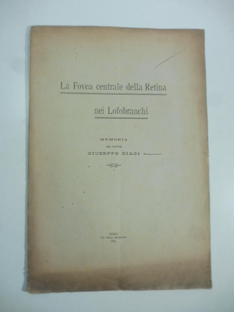 La Fovea centrale della retina nei Lofobranchi. Memoria
