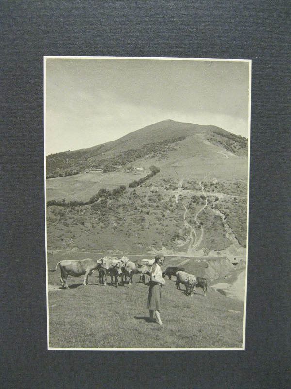 Lago di Como. Alpe Boffalora. Fotografia originale