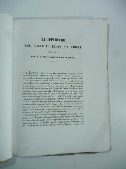 Le ippuritidi del colle di Medea nel Friuli. Memoria SEGUE …