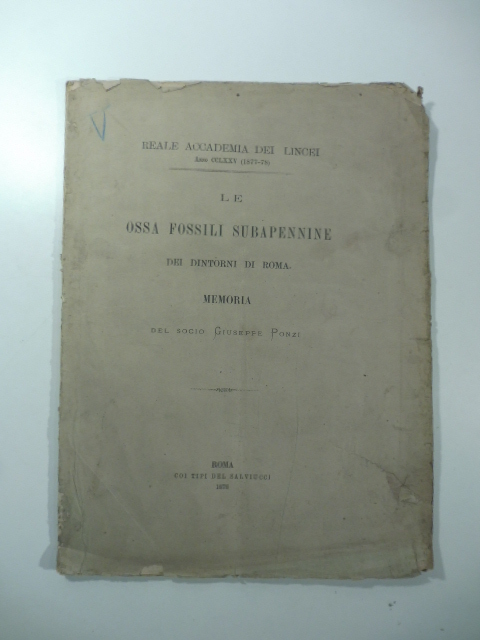Le ossa fossili subapennine dei dintorni di Roma. Memoria
