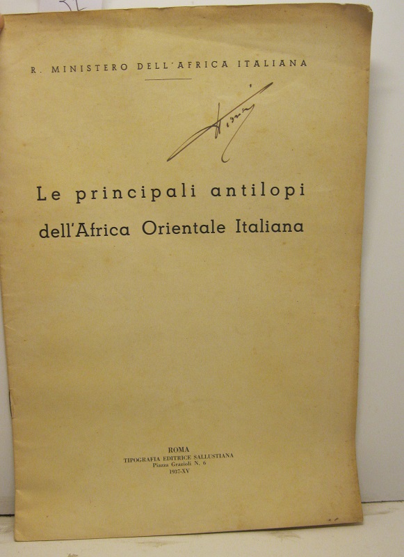 Le principali antilopi dell'Africa orientale italiana