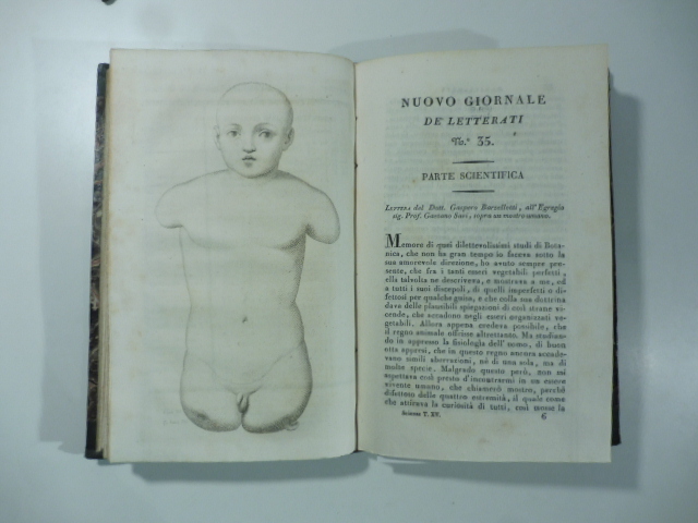 Lettera del Dott. Gaspero Barzellotti al prof. Gaetano Savi, sopra …