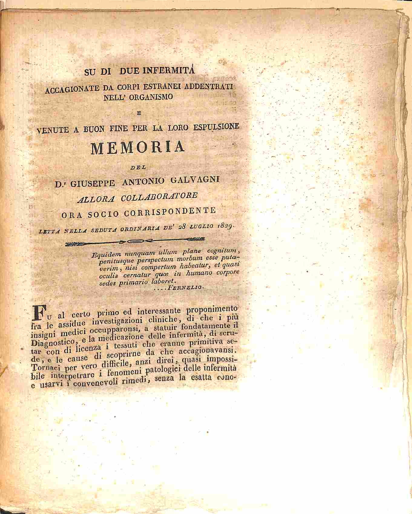 Memoria su di due infermita' cagionate da corpi estranei addentrati …