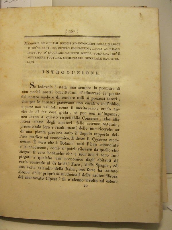 Memoria su gli usi medici ed economici della radice e …