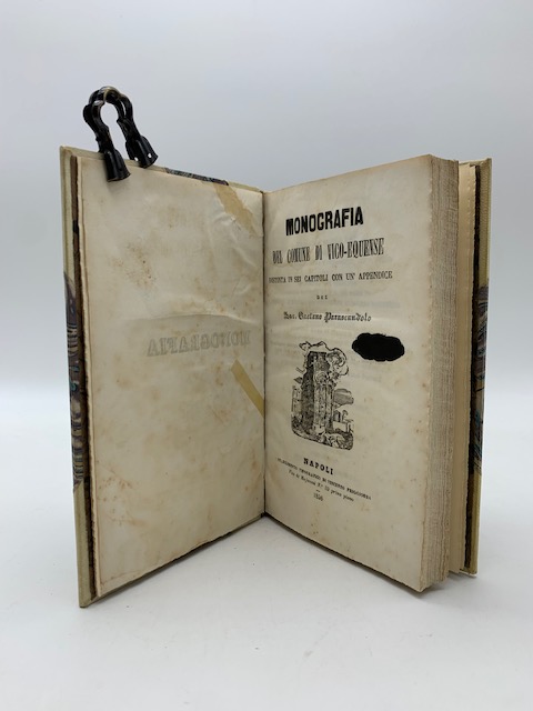 Monografia del Comune di Vico-Equense distinta in sei capitoli con …