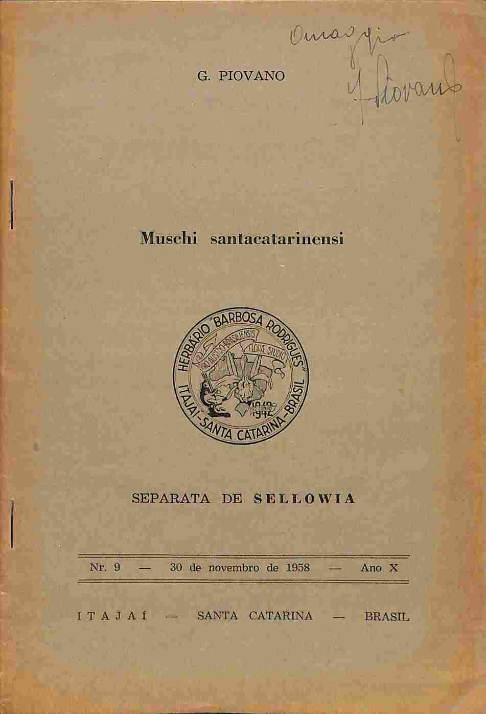 Muschi santacatarinensi