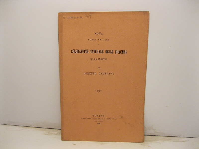 Nota sopra un caso di colorazione naturale delle trachee di …