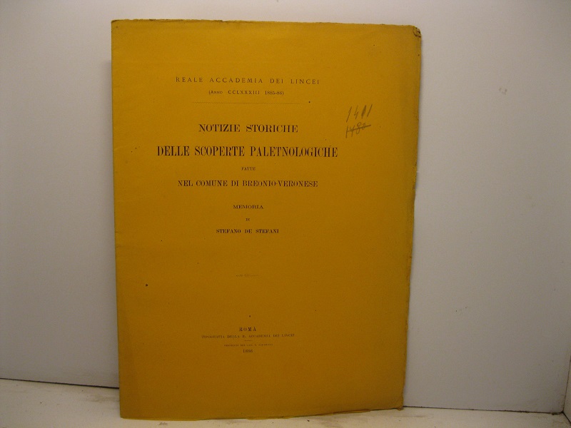 Notizie storiche delle scoperte paletnologiche fatte nel comune di Breonio …