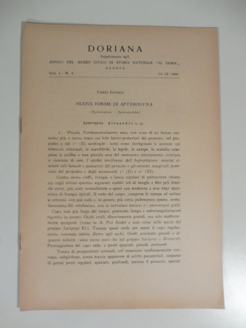 Nuove forme di apterogyna (hymenoptera, apterogynidae)