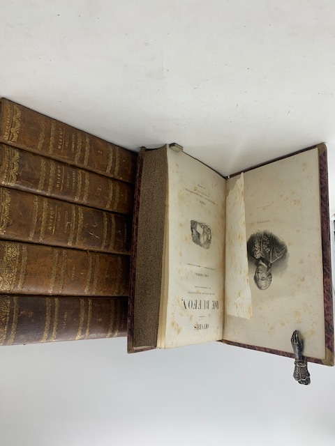 Oeuvres completes de Buffon avec des extraits de Daubenton et …