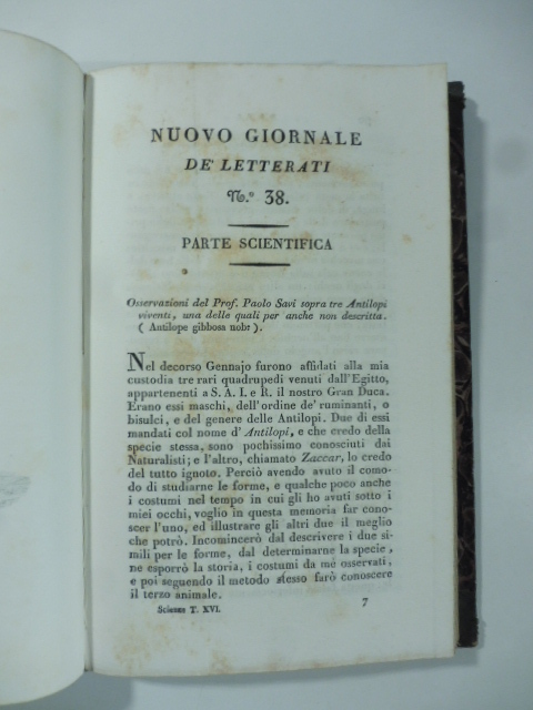 Osservazioni del prof. Paolo Savi sopra tre antilopi viventi una …