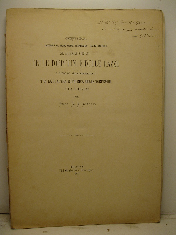 Osservazioni intorno al modo come terminano i nervi motori ne' …