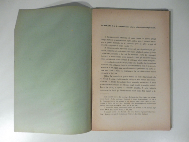 Osservazioni intorno alla neotenia degli insetti