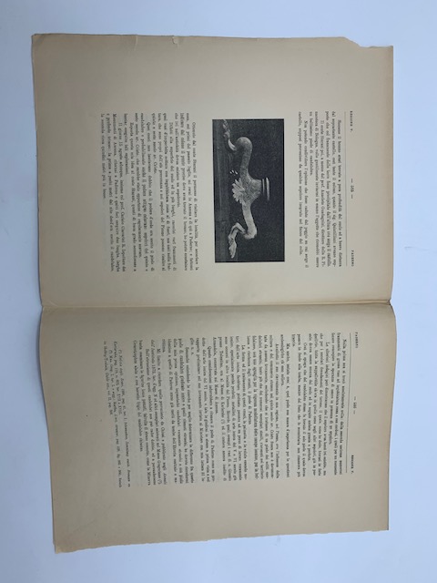 Paderno presso Ancona. Scoperta di un piede di candelabro in …