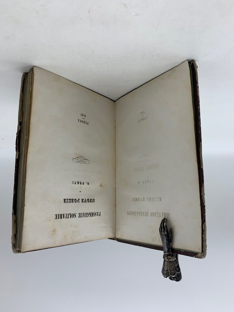 Passeggiate solitarie. Nuove poesie