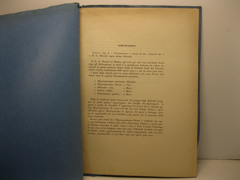 Presentazione e rivista di una memoria del s.c. D.G. Mazzetti …