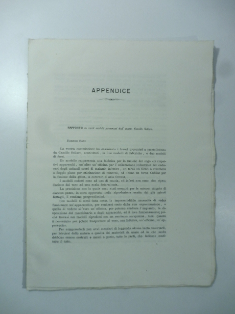 Rapporto sui varii modelli presentati dall'artista Camillo Sellaro; Rapporto sui …