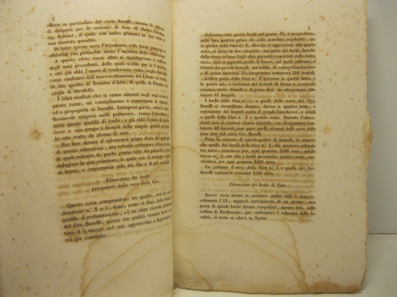 Relazione intorno all'educazione di varie razze di bachi da seta …