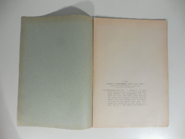 Reperti di chalcididae rare o poco note