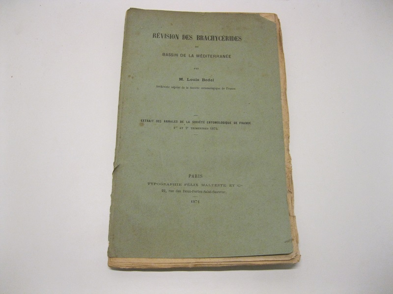 Revision des brachycerides du bassin de la mediterrane'e par Louiis …