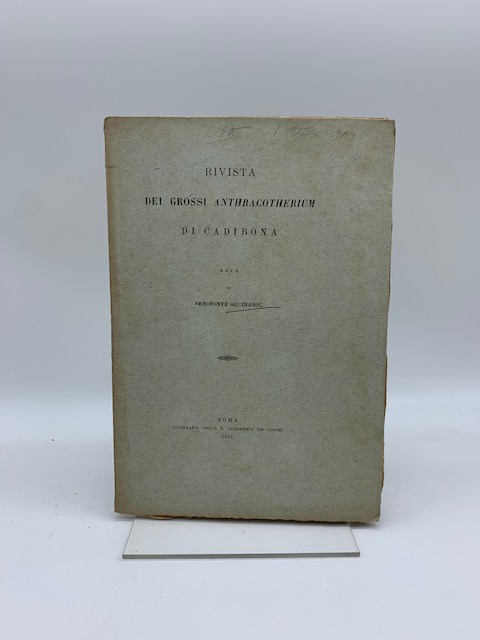 Rivista dei grossi anthracotherium di Cadibona