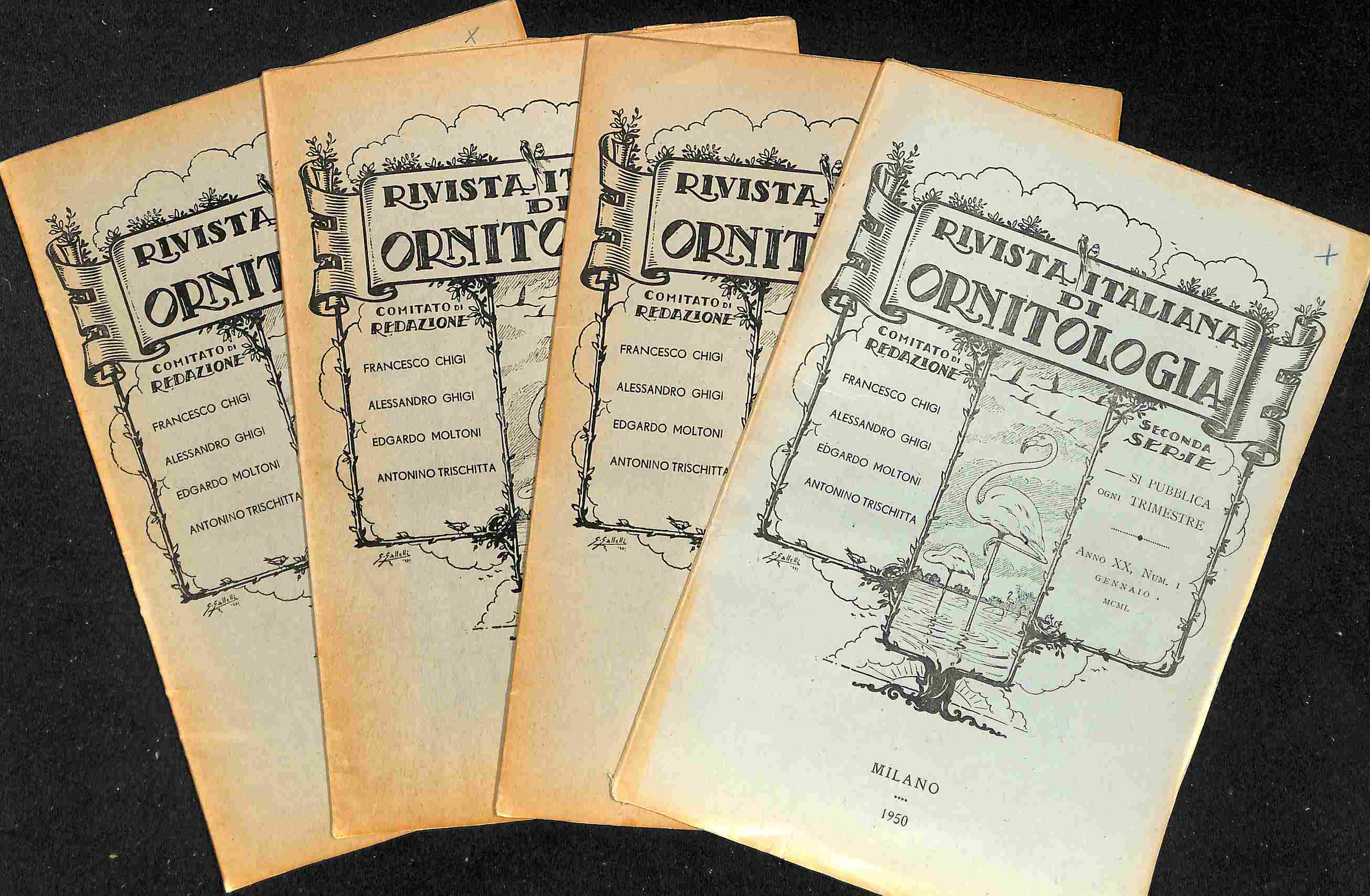 Rivista Italiana di Ornitologia Seconda Serie; Anno XIX; Fascicoli 1; …