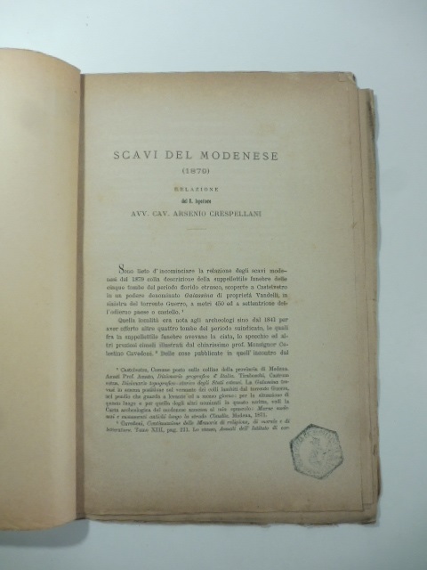 Scavi del modenese (1879). Relazione del R. Ispettore Avv. Cav. …