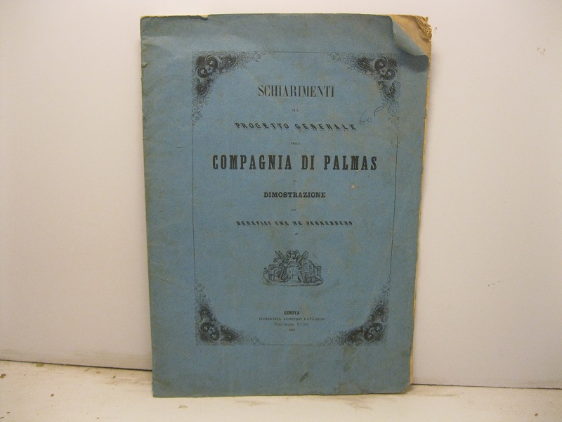 Schiarimenti sul progetto generale della Compagnia di Palmas e dimostrazioni …