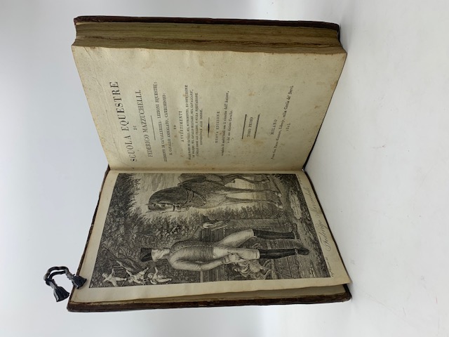 Scuola equestre...Elementi di cavallerizza: lezioni equestri: il cavallo ammalato, catechismo: …