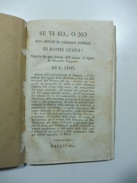 Se vi sia, o no una specie di carbone fossile …