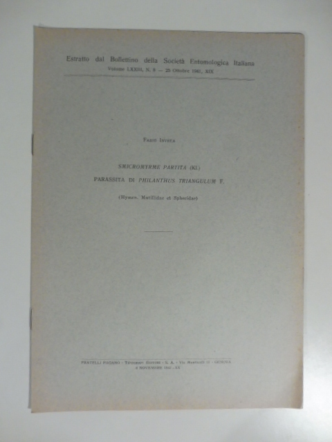 Smicromyrme partita parassita di philanthus triangulum