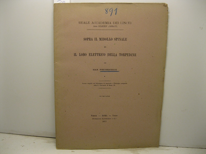 Sopra il midollo spinale ed il lobo elettrico della torpedine. …
