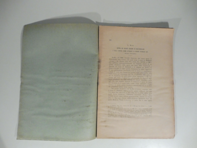 Sopra un nuovo genere di haltichellini e sulle diverse forme …