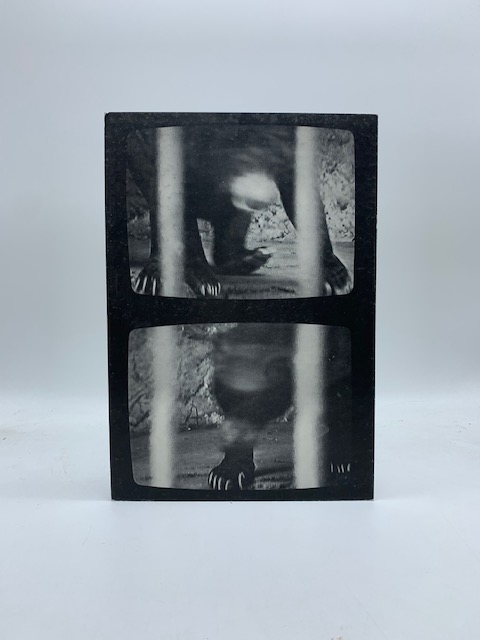 Sosta vietata presenta dal 5 novembre al 5 dicembre 1994 …