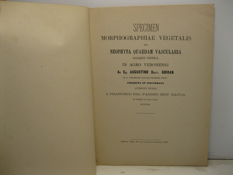 Specimen morphographiae vegetalis seu neophyta quaedam vascularia aliaque critica in …