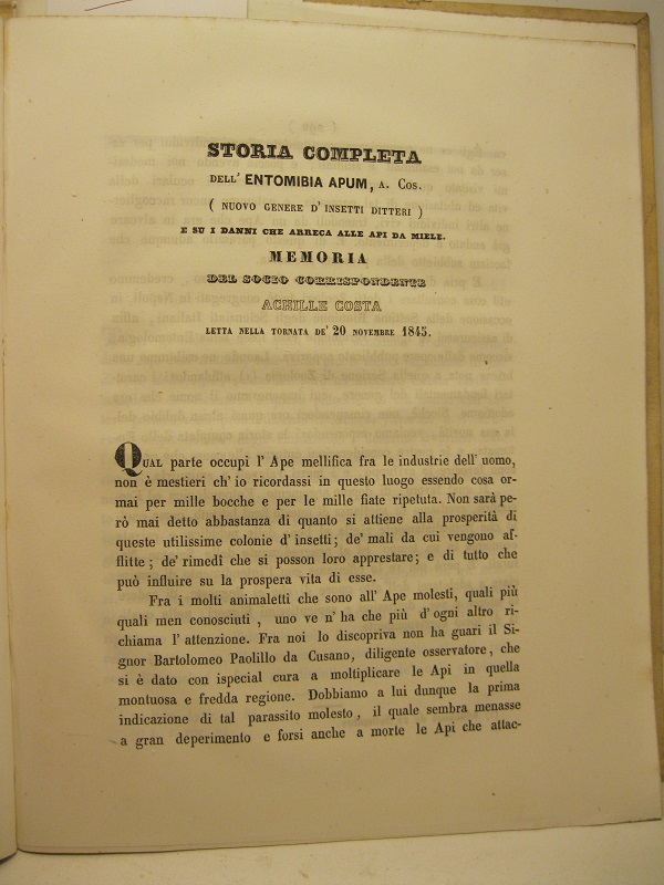 Storia completa dell'entomibia apum, A. Cos. (nuovo genere d'insetti ditteri) …