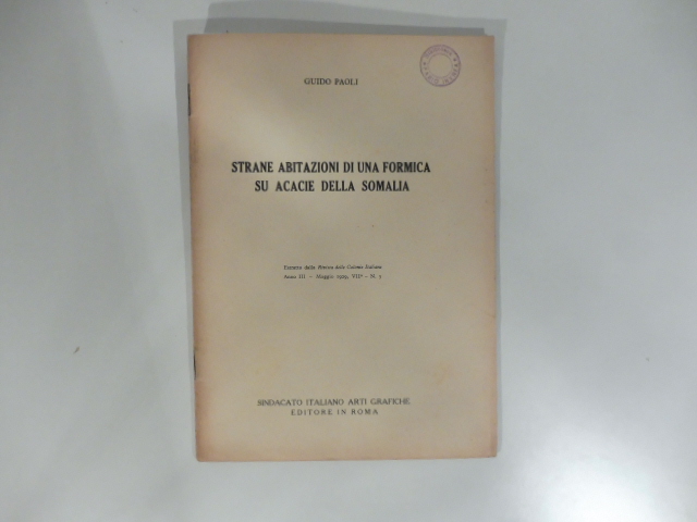 Strane abitazioni di una formica su acacie della Somalia. Estratto …