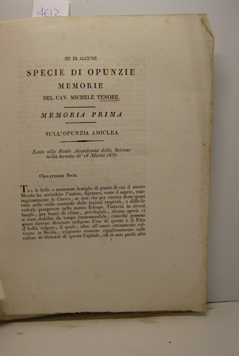 Su di alcune specie di opunzie. Memoria prima. Sull'opunzia amiclea. …