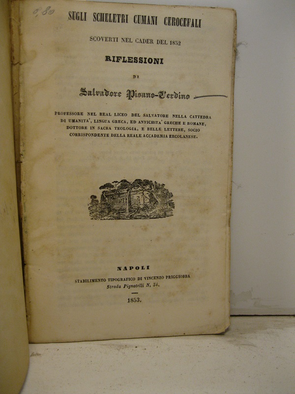 Sugli scheletri cumani cerocefali scoverti nel cader del 1852. Riflessioni