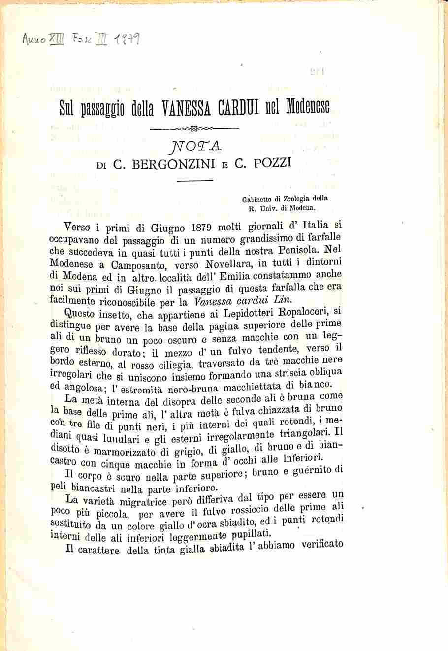 Sul passaggio della Vanessa cardui nel MOdenese