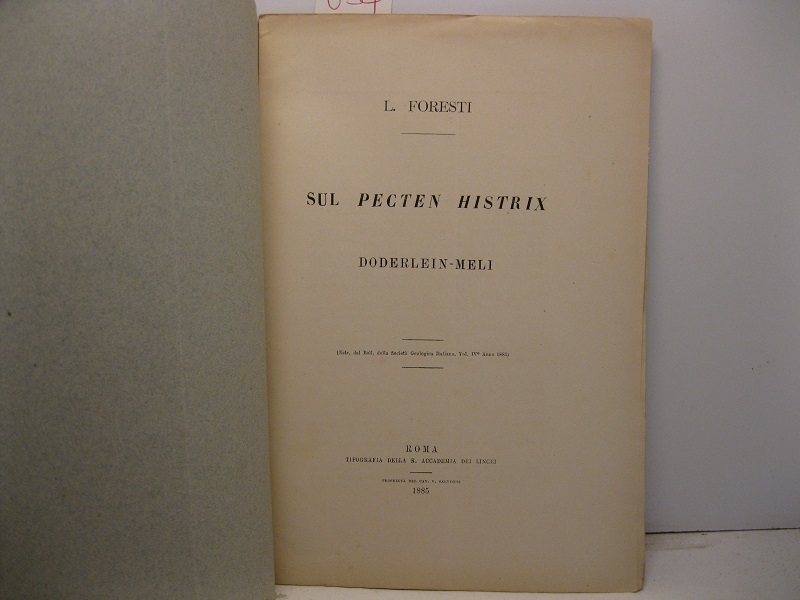 Sul pecten histrix doderlein-meli