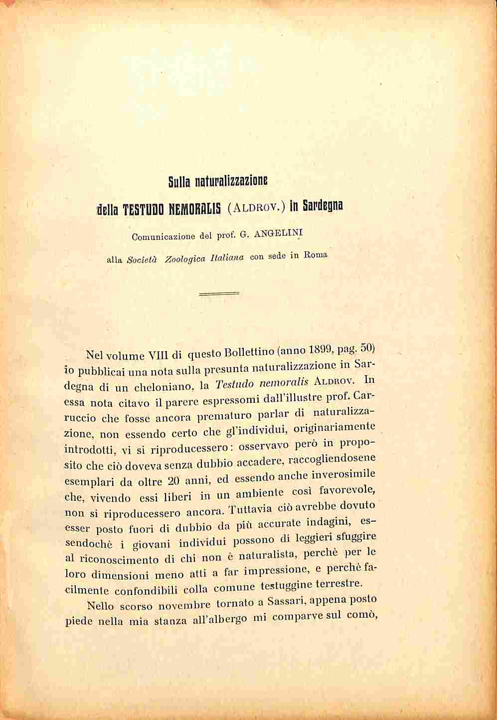 Sulla naturalizzazione della Testudo nemoralis in Sardegna