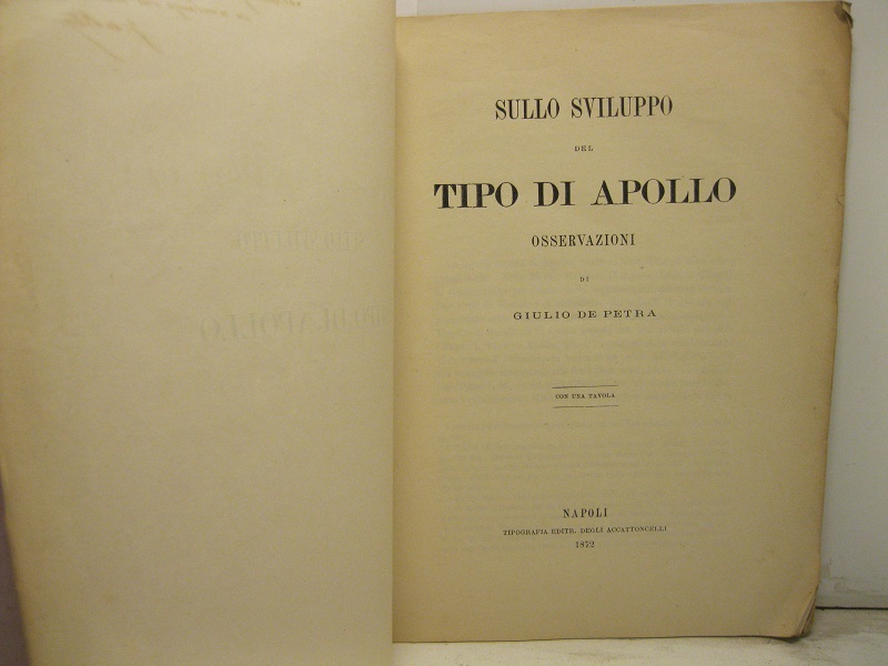 Sullo sviluppo del tipo di Apollo