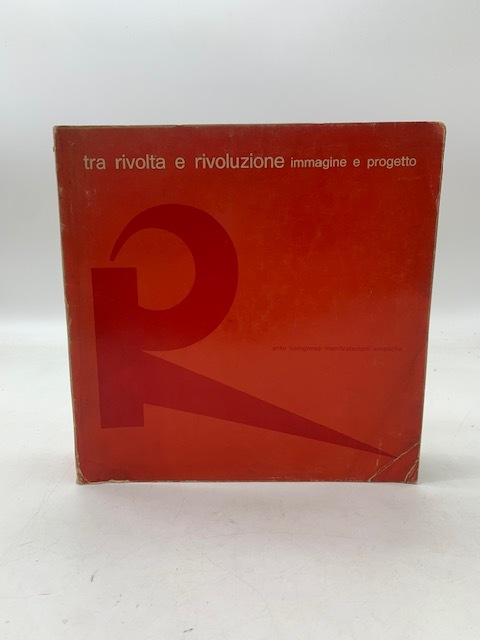 Tra rivolta e rivoluzione. Immagine e progetto.