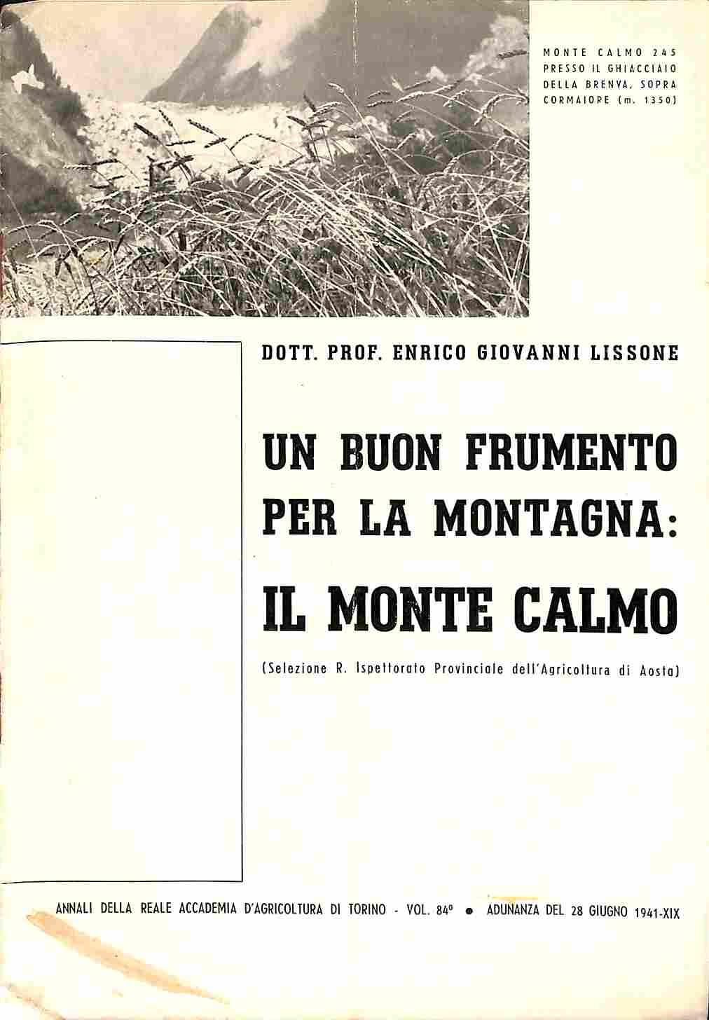 Un buon frumento per la montagna: il monte Calmo