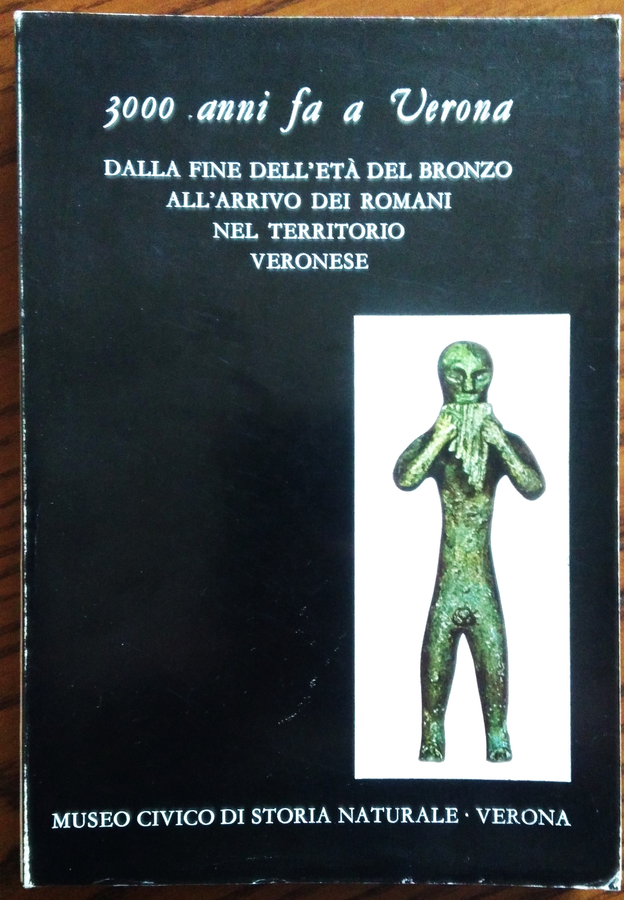3000 anni fa a Verona Dalla fine dell'età del bronzo …