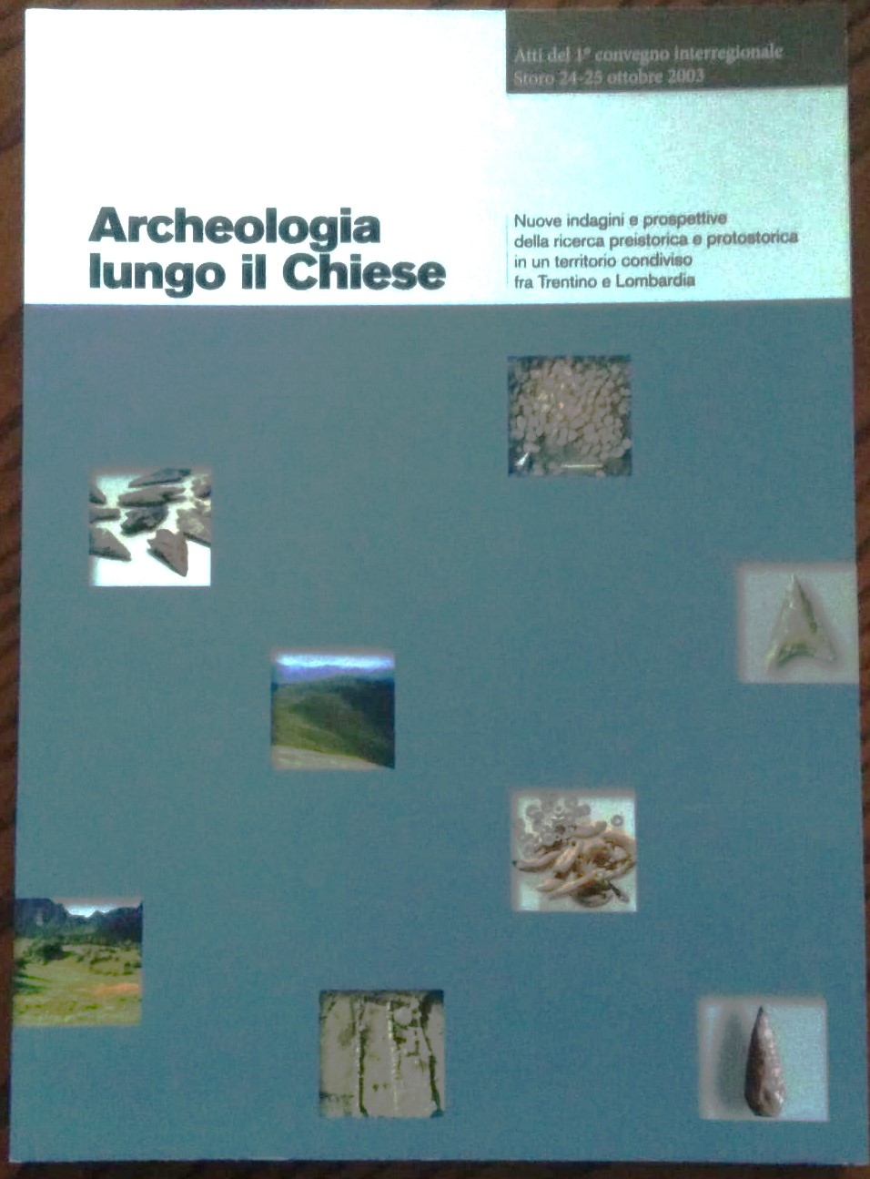Archeologia Lungo il Chiese. Nuove indagini e prospettive della ricerca …